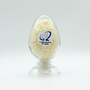 Hot Selling Food Grade CAS 9000-70-8 Gelatin Powder Halal Gelatin Bovine Gelatin